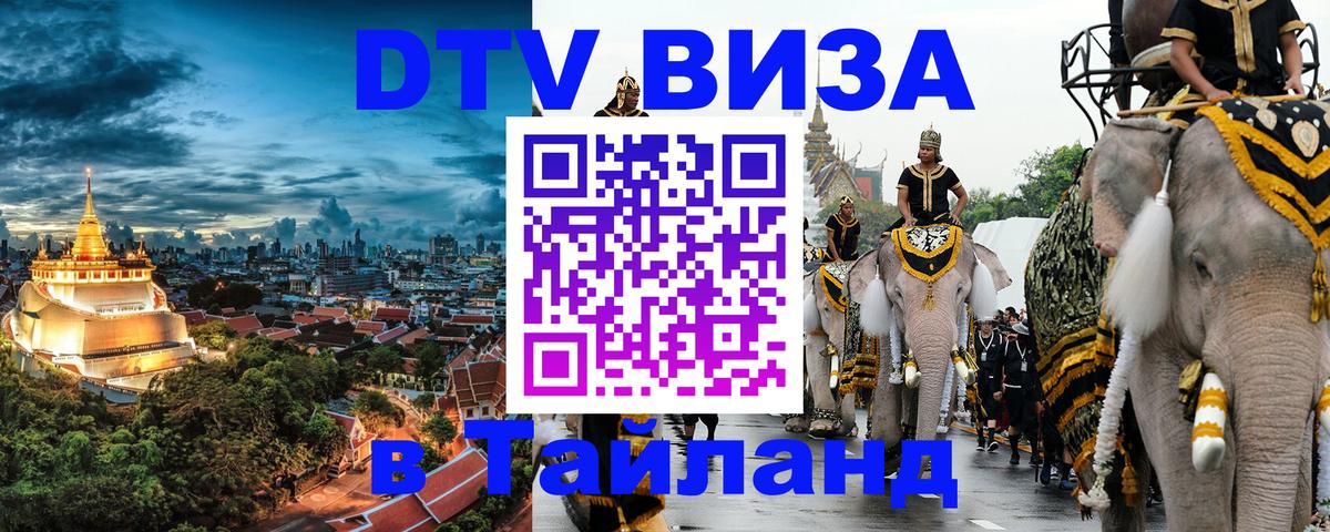 Сколько стоит DTV виза — актуальные цены, оформление даже без документов - Берлин 